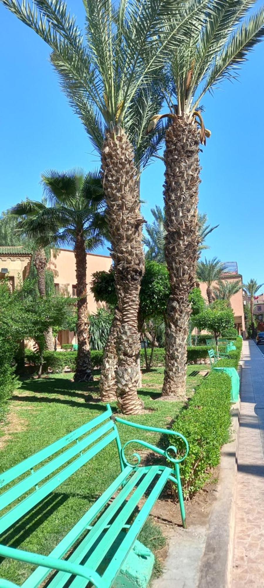 Riad Al-Bushra 마라케시 외부 사진